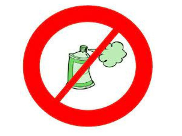 Carnevale dei Ragazzi - l'ordinanza del sindaco