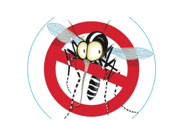 Trattamento contro le zanzare nelle aree maggiormente interessate dalla Festa del Perdono