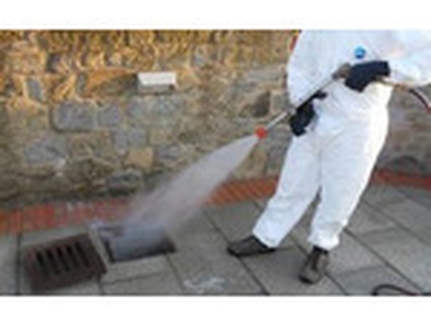 Sospetto caso di Dengue, firmata l’ordinanza per la disinfestazione in via Perugia e aree limitrofe a Levane