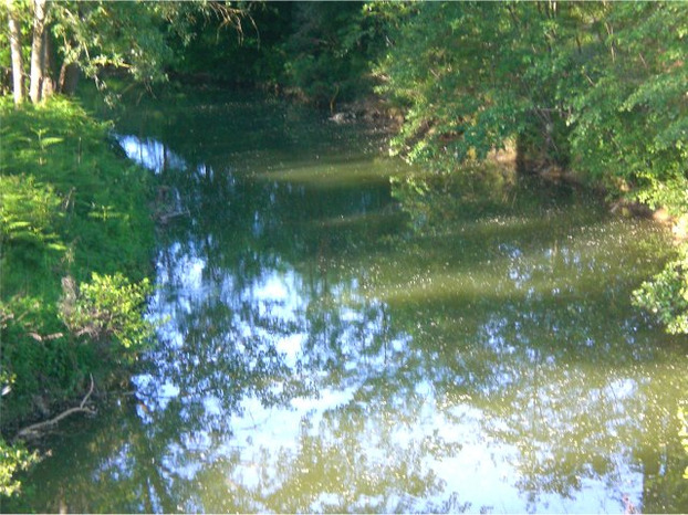 Intervento straordinario di risagomatura sul torrente Ambra