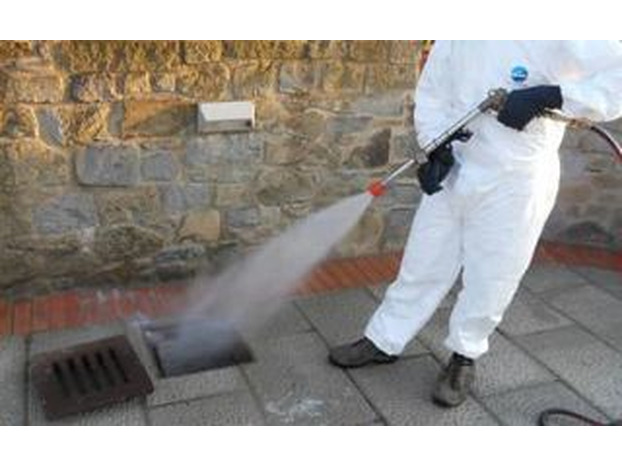 Sospetto caso di Dengue, firmata l'ordinanza per la disinfestazione in via Cennano e aree limitrofe